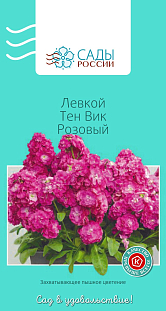 Семена Левкой Тен Вик Розовый 0,1гр