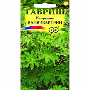 Клещевина Занзибар Грин Клещевина Занзибар Грин