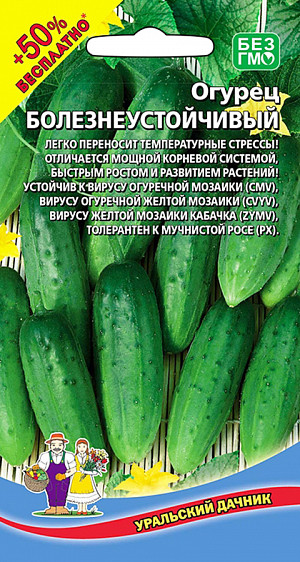 Семена Огурец Болезнеустойчивый