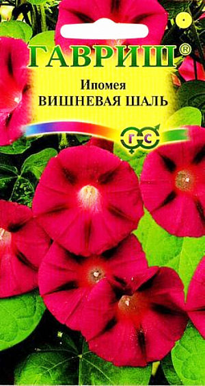 Семена Ипомея Вишневая Шаль.
Вьющееся растение для вертикального озеленения из семейства Вьюнковые с побегами длиной до 3 м. 
Цветение обильное, с конца июня до заморозков. Цветки воронковидные, крупные, темно-вишневые, до 10 см в диаметре.
Светолюбива и теплолюбива, заморозков не переносит. Высевают в открытый грунт во второй половине мая.
Семена перед посевом желательно замачивать на сутки. Всходы появляются через 6-14 дней, расстояние между растениями должно составлять 30-40 см. 
Используется для озеленения балконов и ваз, для вертикального декорирования изгородей, построек.