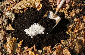 «Корневое бронирование»: фосфорно-калийные удобрения в ноябре и правила глубокой заделки