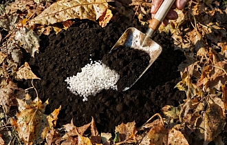 «Корневое бронирование»: фосфорно-калийные удобрения в ноябре и правила глубокой заделки