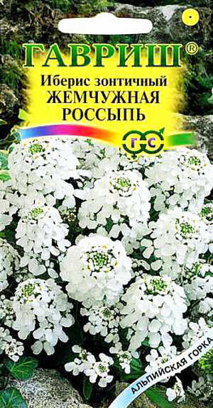 Семена Иберис Жемчужная Россыпь зонтичный белый, стенник.
Один из самых непривередливых однолетников семейства Крестоцветные. Светолюбивый и холодостойкий. Образует живописные куртинки. Растение компактное, высотой 30-40 см. Соцветия образуют небольшие зонтики, цветки мелкие белые, ароматные Сильно разрастающиеся кусты следует периодически стричь. Размножают посевом семян в грунт рано весной или под зиму. Сеянцы прореживают, оставляя между растениями до 20 см. Цветут с июля до конца августа. Дают самосев. Используют для миксбордеров, каменистых садиков, контейнеров, ваз, в качестве бордюров к многолетникам.