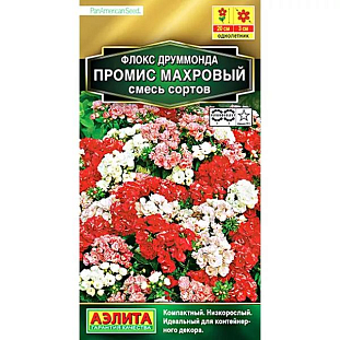 Семена Флокс махровый Промис смесь Семена Флокс махровый Промис смесь