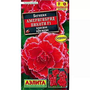 Семена Бегония Америгибрид Пикоти F1 красное кружево
