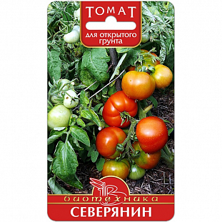Семена Томат Северянин