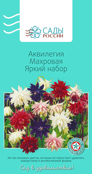 Аквилегия махровая Яркий набор

Аквилегия гибридная, водосбор, орлик – травянистый многолетник. Цветки махровые различной окраски, до 4 см в диаметре. Весной, когда на всходах будет по 3–4 листика, их необходимо пересадить на постоянное место. Чтобы растения лучше цвели, в начале июня их подкармливают раствором мочевины и нитрофоски. Зимует под снежным покровом без укрытия.