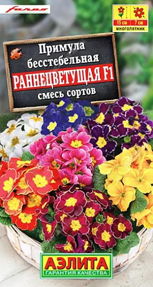 Семена&nbsp;Примула Раннецветущая F1. Зацветает на 2-3 недели раньше остальных примул. Растения компактные, высотой 12-15 см. Цветки крупные, диаметром 6-7 см. Яркая смесь украсит палисадники, бордюры и рабатки. Великолепно подходит для горшечного выращивания. На зиму рекомендуется профилактическое укрытие.<br>
 <br>
 Емкость с посеянными семенами на две недели поставьте в холодильник (желательно в морозильное отделение) для стратификации. В фазе одного настоящего листа сеянцы пикируют.<br>