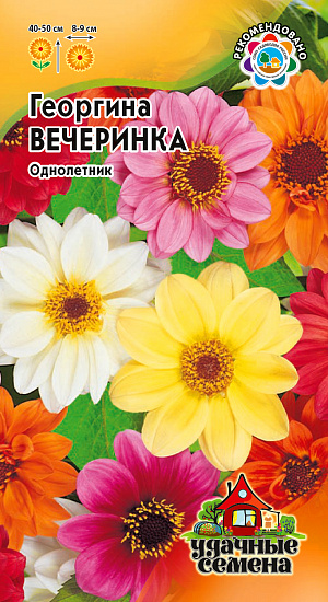 Семена Георгина Вечеринка.
Многолетнее травянистое растение, чаще культивируемое, как однолетник из семейства Астровые. 
Образует многочисленные ветвистые стебли высотой 40-50 см. Соцветия диаметром 8-9 см, розовой, красной, пурпурно-карминной, желтой, белой окраски. Предпочитает солнечные, защищенные от ветра участки с рыхлой, плодородной почвой. 
Выращивается рассадным способом. Растения зацветают через 2-3 месяца после посева.
Используется для посадки на клумбах, рабатках, в группах.
