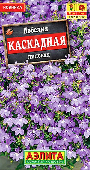 Семена Лобелия Каскадная лиловая

Эффектная серия ампельного летника с суперобильным цветением. Растения образуют пышные каскады поникающих побегов длиной до 30-35 см. С наступлением лета их украшает множество ярких* изящных цветочков диаметром до 1 см. Сорт широко используется для оформления подвесных корзин, балконных ящиков, высоких вазонов. В садовых цветниках приобретает стелющуюся форму. Из ампельной лобелии в открытом грунте получаются красивые бордюры и ковровые композиции.
* Возможно присутствие оттенков небесного и василькового цветов.