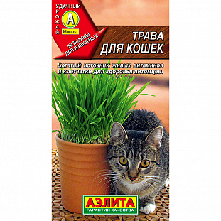 Трава для кошек Трава для кошек