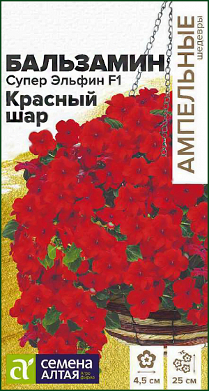<div>
 Семена Бальзамин Супер Эльфин F1 Красный шар.
</div>
Новая великолепная ампельная серия бальзамина, известного как недотрога или Ванька мокрый. Однолетняя культура, в комнатных условиях может выращиваться как многолетник. Растения крепкие, компактные, высотой 20-25 см, в поперечнике до 30-35 см. Цветение раннее, обильное и продолжительное. Цветки крупные ярко-красные, до 4,5 см в диаметре. Используется для украшения уличных вазонов, контейнеров, красиво смотрится при оформлении края клумб, рабаток, бордюров, также рекомендован в качестве комнатного растения. Растение теплолюбивое, в открытом грунте при наступлении холодных ночей увядает. Предпочитает слегка затененные места в саду или комнате. Не выносит переувлажнения. Посевы на рассаду проводят в конце февраля - марте. Подойдет любая хорошо дренированная почва. Сеют поверхностно, не заделывая - для прорастания семенам нужен свет. Для получения наилучшего результата посев рекомендуем проводить в торфяные таблетки (одно семя в таблетку). Посевы увлажняют, накрывают стеклом (до появления всходов), периодически проветривая, и помещают в светлое место, избегая попадания прямых солнечных лучей. При температуре +23°С всходы появляются через 2-3 недели. После появления первых петелек температуру снижают, днем нужно поддерживать +18°C, а ночью +16°C. На данном этапе рассада нуждается в хорошем освещении, необходимая длина светового дня – не менее 12-14 часов, поэтому растения нужно досвечивать фитолампами. После появления 2-х настоящих листиков сеянцы пикируют в отдельные горшки, обеспечив дренаж. Делают это аккуратно, чтобы не повредить корни растений. В открытый грунт рассаду высаживают в мае-июне, когда минует угроза весенних заморозков, посадочный интервал 25-30 см. Цветение обильное и продолжительное, с июня до осенних холодов.