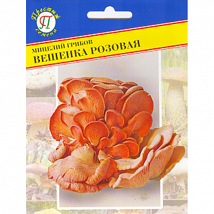 Мицелий грибов Вешенка розовая