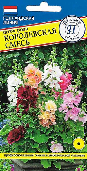 Семена&nbsp;Шток-роза Королевская смесь.<br>
 <br>
 Сорт формирует компактные, аккуратные кусты высотой всего 50 см. Зацветает в год посева. Цветки 9-10 см., полностью махровые, оригинальной формы, с изрезанным краем лепестков, с тонким, приятным ароматом.<br>
 <br>
 Цветет с июля по сентябрь. Используются для оформления клумб, рабаток, миксбордеров, уличных и балконных контейнеров. Срезанные соцветия великолепно распускаются в воде до последнего бутона.<br>