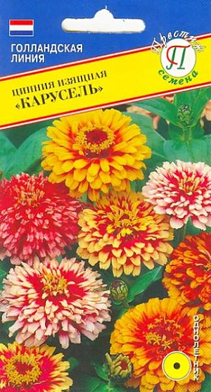 Семена Цинния изящная Карусель.
Однолетник. Среднерослый сорт циннии, высотой до 50 см. Соцветия большие, открытые, диаметром до 10-12 см, с контрастными разноцветными лепестками. Смесь имеет яркие, насыщенные цвета. Используют циннию в групповых посадках на клумбах, для устройства ярких цветочных клумб, миксбордеров, рабаток, альпийских горок. Идеально смотрится в сочетании с бархатцами, хризантемами и календулой. В срезке стоит 10-12 дней. Высевают на рассаду в конце марта - апреле либо сразу в грунт. При посеве на рассаду семена равномерно распределяют по поверхности влажного субстрата, присыпают тонким слоем вермикулита или компоста, накрывают прозрачным стеклом или плёнкой для поддержания влажности. Избегают переувлажнения. При температуре 20-22 градусов всходы появляются через 7-10 дней. После прорастания плёнку или стекло убирают. Выращивают на свету, но избегая попадания прямых солнечных лучей. Подросшие растения высаживают в конце мая - начале июня с шагом 20-30 см. В открытый грунт циннию высевают в середине мая, под плёнку на глубину до 1 см. После прорастания плёнку убирают, всходы прореживают. Теплолюбивое, засухоустойчивое растение, предпочитает солнечные места. Хорошо растет на рыхлых, хорошо дренированных (без застоя воды), плодородных почвах. В сухую, жаркую погоду растения поливают. Подкармливают раствором полного минерального удобрения каждые 4 недели. Цветение: с середины июля и до заморозков.
