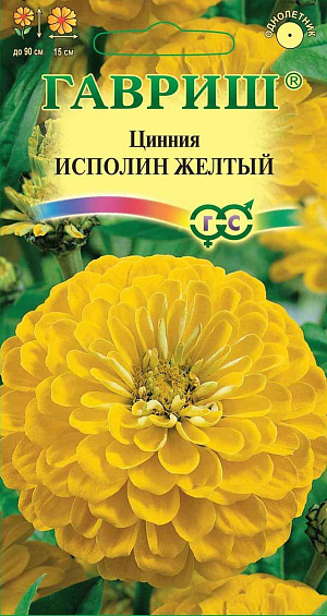 Семена Цинния Исполин Желтый.
Серия высокорослых крупноцветковых цинний для элитного оформления сада. 
Отличается чрезвычайно обильным и продолжительным цветением, прочными ветвящимися цветоносами, чистыми и стойкими к выгоранию тонами соцветий. Формирует приподнятые, разветвленные кусты высотой до 90 см. 
Соцветия георгиновидные, крупные, желтые, 15 см в диаметре, с высокой устойчивостью к неблагоприятным погодным условиям. 
Цветет с июня до заморозков. Циннии светолюбивы, засухоустойчивы и теплолюбивы; отзывчивы на полив, без длительного полива снижается интенсивность цветения и уменьшается размер соцветий. Выращивают рассадным способом. 
Семена высевают в апреле. Всходы появляются через 4-6 дней. В начале июня растения высаживают на расстоянии 20 см.