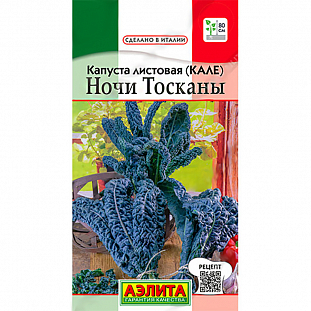 Семена Капуста листовая (кале) Ночи Тосканы