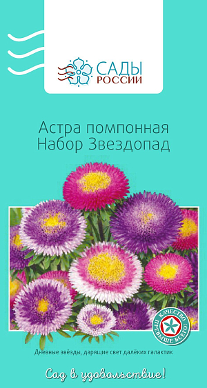 Астра Помпонная Звездопад набор

Привлекательна плотными плоскоокруглыми набивными соцветиями-подушечками. Окраска яркая, насыщенная, двуцветная, самая разнообразная. Куст колонновидный или пирамидальный, диаметр соцветий 6–8 см. Холодостойка, выносит слабые заморозки до −3 °С