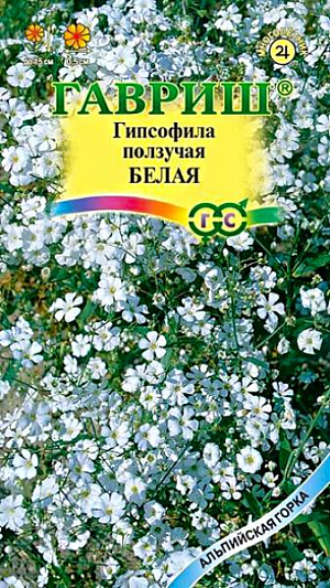 Семена Гипсофила ползучая, Белая.<br>
 <br>
 &nbsp;Многолетнее неприхотливое растение семейства Гвоздичные высотой 15 см. со стелющимися стеблями с многочисленными мелкими, до 0,5 см. белыми цветками и темно-зелеными листьями. Цветет в июне — июле. Морозостойка, но молодые растения желательно укрывать на зиму. Светолюбива, предпочитает легкие, сухие, водопроницаемые почвы, Быстро разрастается, на одном месте может расти до 25 лет. Высевают в апреле-мае в открытый грунт. Высаживают на постоянное место с расчетом 2-3 растения на 1 кв.м.&nbsp; Используется в оформлении участка, прекрасное растение для альпинария.<br>