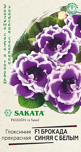 Семена Глоксиния Брокада синяя с белым F1