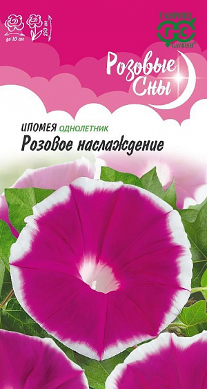 Семена Ипомея Розовое наслаждение<br>
 <br>
 Вьющееся однолетнее растение для вертикального озеленения из семейства Вьюнковые, с побегами, длиной до 2,5 м. Листья крупные, сердцевидные. Цветение обильное - с конца июня до заморозков. Цветки воронковидные, крупные (7-10 см в диаметре), пурпурно-розовые с белой каймой. Ипомея светолюбива и теплолюбива, заморозков не переносит. Используется для озеленения балконов и ваз, создания вертикальных цветущих ширм.<br>