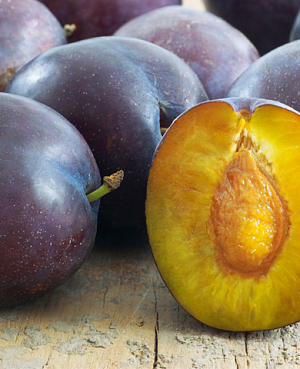 Саженцы Слива Стартовая