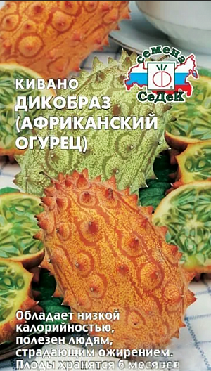Семена Кивано Дикобраз