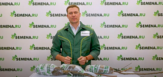 Саженцы плодовых культур от интернет-магазина SEMENA.RU. Ответы на вопросы.