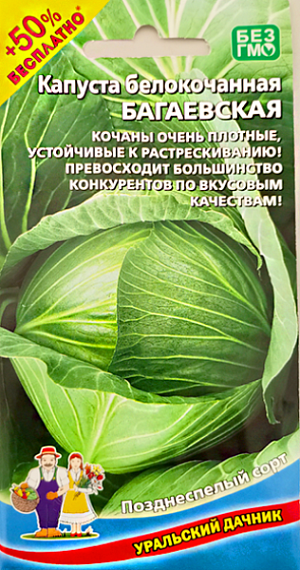 Семена Капуста белокочанная Багаевская