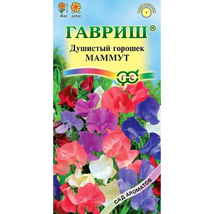 Семена Душистый горошек Маммут