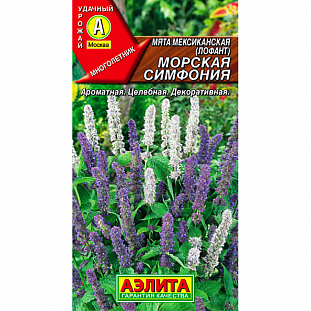 Семена Мята мексиканская Морская симфония