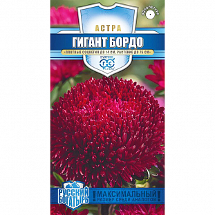 Семена Астра Гигант бордо