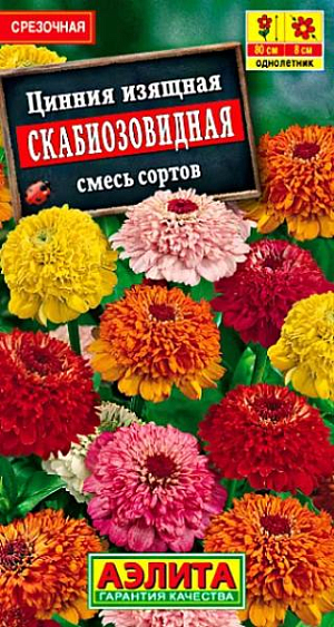 Семена Цинния Скабиозовидная смесь окрасок. Однолетник<br>
 Высота растения 80 см<br>
 Диаметр цветка 8 см<br>
 Свето- и теплолюбивое, быстрорастущее растение с прямостоячими стеблями. Соцветия-корзинки махровые, внешне напоминающие соцветия скабиозы. Лепестки краевых язычковых цветков крупные, центральных цветков - более мелкие, слегка свернутые. Это придает всему соцветию очень привлекательный вид. Используются для цветников и на срезку.<br>
 &nbsp;<br>
 Посев: апрель на рассаду. Сеянцы пикируют и через 7-10 дней 2-3 раза подкармливают комплексным минеральным удобрением. После окончания заморозков закаленную рассаду высаживают в открытый грунт на расстояние 30-35 см между растениями. В южных областях возможен посев в открытый грунт с последующим прореживанием. Хорошо растет на солнечных местах с легкой, плодородной почвой.<br>
 Уход: любит обильный полив и подкормки комплексным минеральным удобрением. Мы рекомендуем использовать комплексное минеральное удобрение “АЭЛИТА-ЦВЕТОЧНОЕ” (содержит комплекс NPK, обогащенный широким спектром микроэлементов), способствующее улучшению роста и продолжительному цветению.<br>
 Цветение с июня до заморозков<br>
