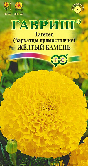 Семена Бархатцы Жёлтый камень прямостоячие. <br>
Однолетнее растение семейства Сложноцветные. Высотой до 80 см, сильно ветвистое от основания, боковые побеги отклоненные. Соцветия — корзинки до 15 см в диаметре, густомахровые, шаровидные, золотисто-желтой окраски. В открытый грунт можно высевать в конце мая — начале июня. Всходы появляются на 5-10 день. На рассаду сеют в конце марта – начале апреля. Цветение начнется в июне. Бархатцы, высаженные рядом с огородными культурами уменьшают их поражение грибными заболеваниями, защищают от некоторых видов нематод. Бархатцы используют во всех видах цветников. Они хорошо растут в горшках, вазонах, балконных ящиках, в сочетании с примулами и цинерариями. Осенью цветущие растения можно перенести в комнату, где они прекрасно растут в течение всей зимы, а весной, высаженные в открытый грунт, образуют большой цветущий куст.