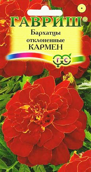 Семена Бархатцы Кармен отклоненные. Травянистое растение семейства Сложноцветные. Образует компактный густоветвящийся куст высотой 30 см. Соцветия-корзинки, диаметром 4-5 см, махровые, гвоздиковидные, красно-коричневые с желтым центром. Цветет с июня по сентябрь. Светолюбивы и теплолюбивы, заморозков не переносят. Предпочитают плодородные легкие почвы. Выращивают, как правило, рассадным способом. Посев проводят во второй половине марта - начале апреля. Всходы появляются через 4-8 дней после посева, сеянцы пикируют в фазе 2-го настоящего листа. Рассаду высаживают в начале июня, расстояние между растениями 20 см. Используют для посадки на клумбах, рабатках, бордюрах, в балконные ящики, можно использовать как горшечную культуру.<br>
 <br>
 <img src="http://sc-victoriya.ru/bitrix/images/1.gif" title="Видеоролик c YouTube: Посадка Бархатцев на рассаду" id="bxid737374553"><br>