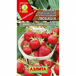 Семена Земляника (клубника) ремонтантная крупноплодная Любаша