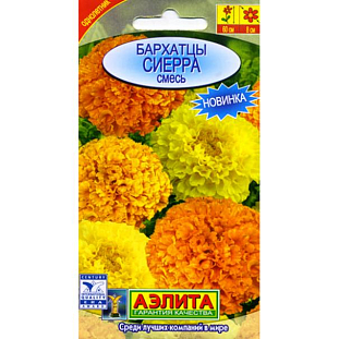 Семена Бархатцы Сиерра смесь