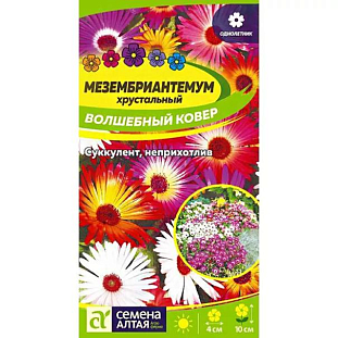 Семена Мезембриантемум Волшебный ковер
