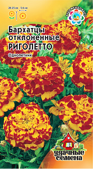 Семена Бархатцы Риголетто отклоненные.<br>
 Одно из самых распространенных однолетних растений семейства Астровые. Образует компактный густоветвящийся куст высотой 20 см.<br>
 Соцветия золотисто-желтые с коричневыми пятнами. Цветет с июня по сентябрь. Светолюбивы и теплолюбивы, заморозков не переносят. <br>
К почвам нетребовательны, но предпочитают плодородные легкие почвы. Выращивают, как правило, рассадным способом. Посев проводят во второй половине марте - начале апреля. Всходы появляются через 4-8 дней после посева, сеянцы пикируют в фазе 2-го настоящего листа. Рассаду высаживают в начале июня, расстояние между растениями 20 см. Используют для посадки на клумбах, рабатках, бордюрах, в балконные ящики, можно использовать как горшечную культуру.