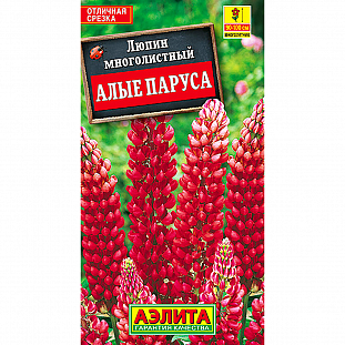 Люпин Алые паруса