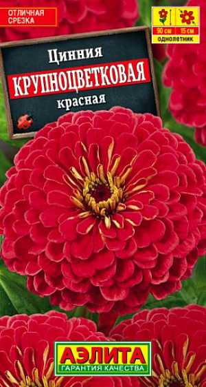 Семена Цинния Крупноцветковая красная.
Неприхотливое, всеми любимое садовое растение, высотой до 90 см. Соцветия георгиновидные O13-15 см, красные, на прямых прочных стеблях. Цветение обильное и продолжительное, с июня до заморозков. Каждый цветок держится на растении до 30 дней. Используют для посадки в пестрые цветники и для срезки. Срезанные цветы долго стоят в воде. Агротехника. Выращивают рассадным способом. С развитием первой пары настоящих листочков сеянцы пикируют. В фазе 5-6 листьев проводят формирующую прищипку. Рассаду высаживают в открытый грунт, когда минует опасность заморозков. Растениям необходимы регулярные поливы, прополки, рыхления и подкормки. Возможен посев семян в открытый грунт на глубину1 см. 