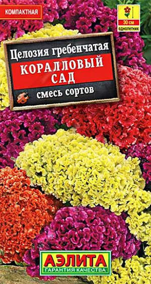Семена&nbsp;Целозия гребенчатая Коралловый сад.&nbsp;Быстрорастущая, компактная смесь популярного летника с неповторимой цветовой палитрой. Стебли прямостоячие, хорошо облиственные, высотой до 30 см. Оригинальные соцветия напоминают петушиный гребень. Растения используют для групповых посадок в цветниках и для выращивания в контейнерах. Засушенные соцветия – отличный материал для зимних букетов.<br>
 <br>
 &nbsp;Семена располагают на поверхности почвы, не заделывая их, увлажняют из распылителя и накрывают контейнер стеклом до всходов. С появлением всходов необходимо регулярное проветривание. В фазе одной пары настоящих листочков сеянцы пикируют в отдельные горшочки.<br>
 <br>
 <br>
 <br>
 <br>