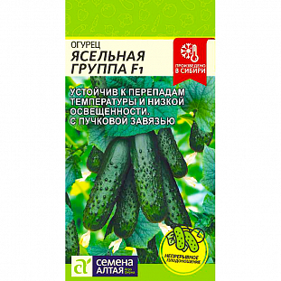 Семена Огурец Ясельная группа