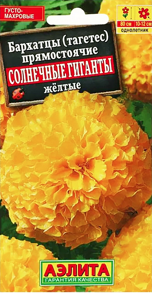 Семена Бархатцы Солнечные гиганты жёлтые.
Однолетник. Высота растения 90 см Диаметр цветка 15 см Tagetes erecta Высокорослые бархатцы с очень крупными махровыми гвоздиковидными соцветиями. Высота растений 90-100 см, размер соцветий 15-17 см. Используют для посадки в цветники, на клумбы, бордюры и для срезки. Срезанные цветы долго стоят в воде (13-15 дней). Посев: на рассаду в марте-апреле, в районах с мягким климатом можно сеять непосредственно в грунт в мае. Рассаду высаживают в открытый грунт, когда минует угроза заморозков. Расстояние между растениями 50 см. Бархатцы не требовательны к почве и влаге. Они предпочитают открытые солнечные места, но растут и в полутени. Уход: для хорошего роста и цветения растения нужно поливать и подкармливать (две-три подкормки с интервалом в 7-10 дней). Когда бархатцы разрастутся, поливы следует прекратить, но подкормки продолжить (с интервалом в 10-14 дней). Цветение: с июня до заморозков. Чтобы продлить цветение, необходимо удалять увядшие цветки. Бархатцы хорошо сочетаются с маргаритками, календулой, рудбекией, космеей и пеларгонией.