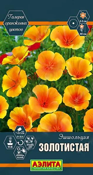 Семена&nbsp;Эшшольция Золотистая.&nbsp;Порция хорошего настроения с оранжевыми цветами! В настоящее время модно создавать цветники, где присутствуют эффектные цветы одной окраски, например, ярко-оранжевые. Они наполняют клумбы праздничной атмосферой и создают контрастные композиции с другими растениями. Считается, если вам нравится оранжевый цвет, вас обязательно ждет успех! Очаровательный летник с апельсиновыми цветками. Эшшольция выглядит хрупкой, нежной и капризной, но по праву считается культурой для ленивых. Она устойчива к засухе, болезням и вредителям. Не утрачивает пышного цветения даже на бедных почвах. Растения высотой до 40 см, с зеленовато сизыми ажурными листьями. Цветки изящные, яркие и крупные, диаметром 3-5 см. Закрывают лепестки в непогоду. Сорт используется для украшения разнообразных цветников, альпинариев и мавританского газона.<br>
 <br>
 &nbsp;Эшшольция не выносит избытка влаги и органических удобрений. Предпочитает легкие, хорошо дренированные, некислые почвы. В фазе одного-двух настоящих листьев всходы прореживают. Возможен подзимний посев.<br>