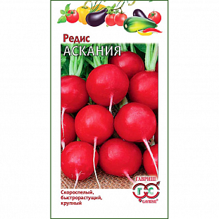 Семена Редис Аскания
