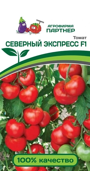 Семена Томат Северный экспресс двойной пакет Семена Томат Северный экспресс двойной пакет