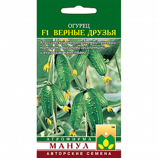 Семена Огурец Верные друзья F1