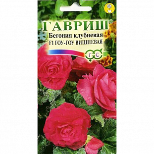 Бегония Гоу-Гоу вишневая клубневидная F1
