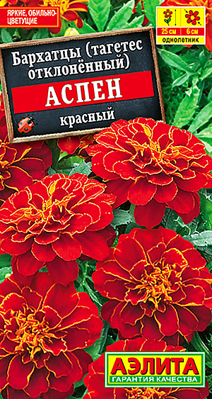 Семена Бархатцы Аспен красный.
Вашему вниманию предлагается уникальная, завораживающая новинка из очаровательных представителей бархатцев. Восхитительно крупные цветки с ослепительно яркими лепестками порадуют своей оригинальностью и изысканностью, а пышность цветения продлится все лето. Благодаря устойчивости к непогоде, прекрасно держат форму и заслуживают центрального места в балконных ящиках, контейнерах и вазонах.
Агротехника. Выращивают рассадным способом. Посев проводят в первой половине апреля. Всходы появляются через 4-8 дней после посева, сеянцы пикируют в фазе 1-2-х настоящих листьев. Рассаду высаживают в конце мая – начале июня. Схема посадки 30х30 см. Возможен посев семян в открытый грунт в мае на глубину 1,5-2 см. Для продолжительного и обильного цветения растениям необходим своевременный полив, регулярная прополка, рыхление и подкормка минеральными удобрениями.